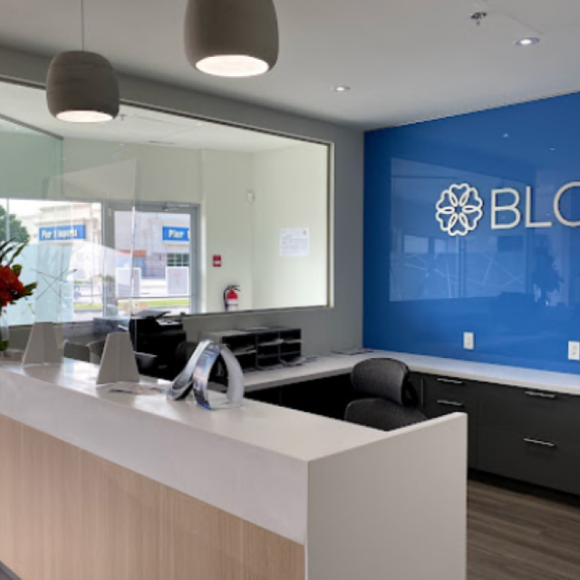 Blossom Smiles Dental